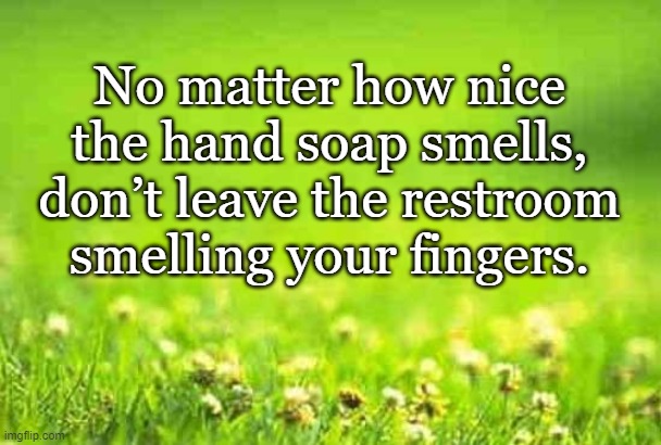 Fun Hints | No matter how nice the hand soap smells, don’t leave the restroom smelling your fingers. | image tagged in green background,funny | made w/ Imgflip meme maker