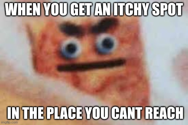 Angy Cinnamon toast crunch | WHEN YOU GET AN ITCHY SPOT; IN THE PLACE YOU CANT REACH | image tagged in angy cinnamon toast crunch | made w/ Imgflip meme maker