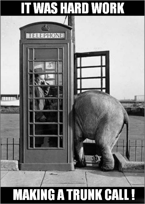 Hello Operator  .. Long Distance Please ... | IT WAS HARD WORK; MAKING A TRUNK CALL ! | image tagged in vintage,telephone,long distance,elephant,visual pun | made w/ Imgflip meme maker