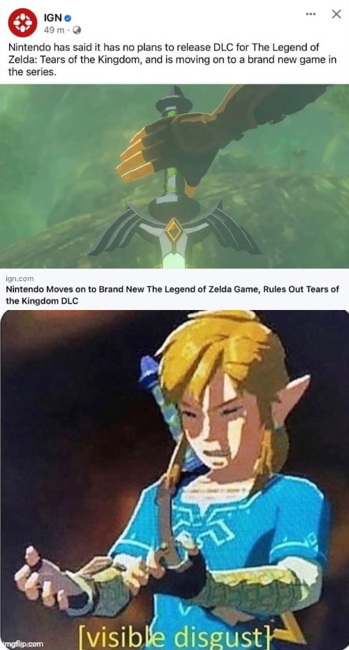 WELL THAT SUCKS | image tagged in nintendo,the legend of zelda,the legend of zelda breath of the wild,tears of the kingdom | made w/ Imgflip meme maker