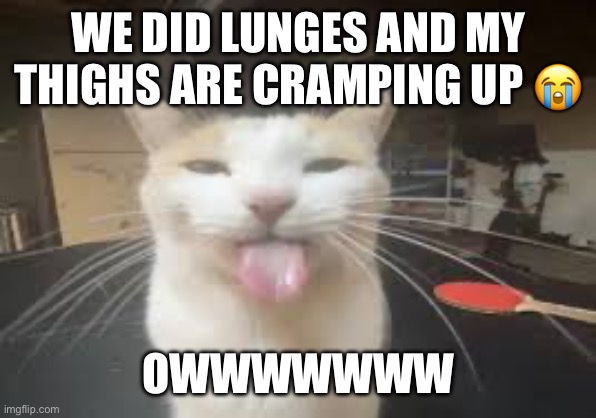Cat | WE DID LUNGES AND MY THIGHS ARE CRAMPING UP 😭; OWWWWWWW | image tagged in cat | made w/ Imgflip meme maker