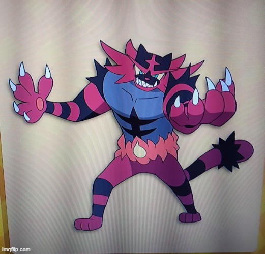 Incineroar Why | image tagged in incineroar why | made w/ Imgflip meme maker