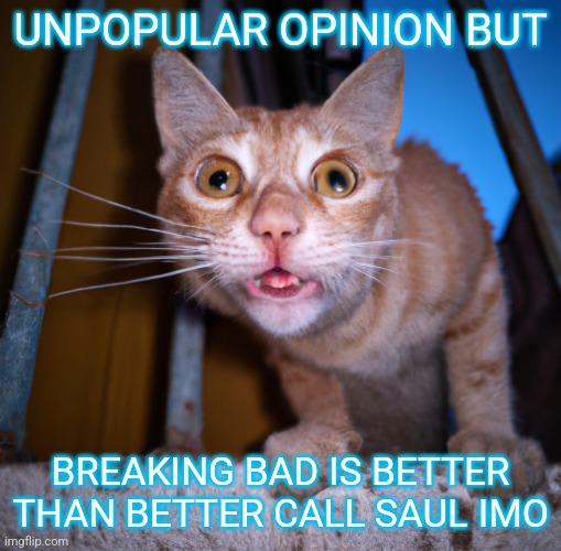 goofy ass cat | UNPOPULAR OPINION BUT; BREAKING BAD IS BETTER THAN BETTER CALL SAUL IMO | image tagged in goofy ass cat | made w/ Imgflip meme maker