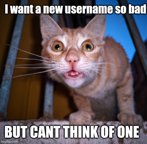 goofy ass cat | I want a new username so bad; BUT CANT THINK OF ONE | image tagged in goofy ass cat | made w/ Imgflip meme maker