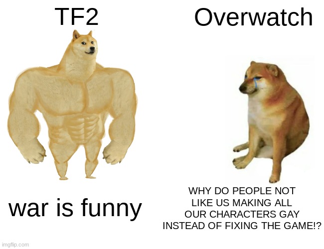 Buff Doge vs. Cheems Meme | TF2 Overwatch war is funny WHY DO PEOPLE NOT LIKE US MAKING ALL OUR CHARACTERS GAY INSTEAD OF FIXING THE GAME!? | image tagged in memes,buff doge vs cheems | made w/ Imgflip meme maker