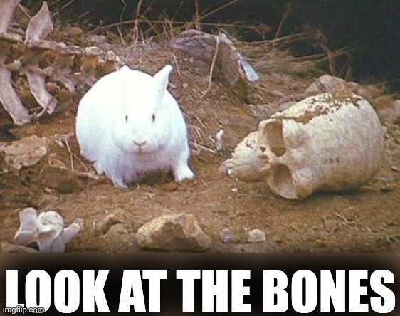 Monty Python rabbit | LOOK AT THE BONES | image tagged in monty python rabbit | made w/ Imgflip meme maker
