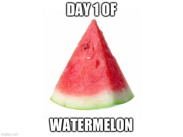 Watermelon | DAY 1 OF; WATERMELON | image tagged in watermelon | made w/ Imgflip meme maker