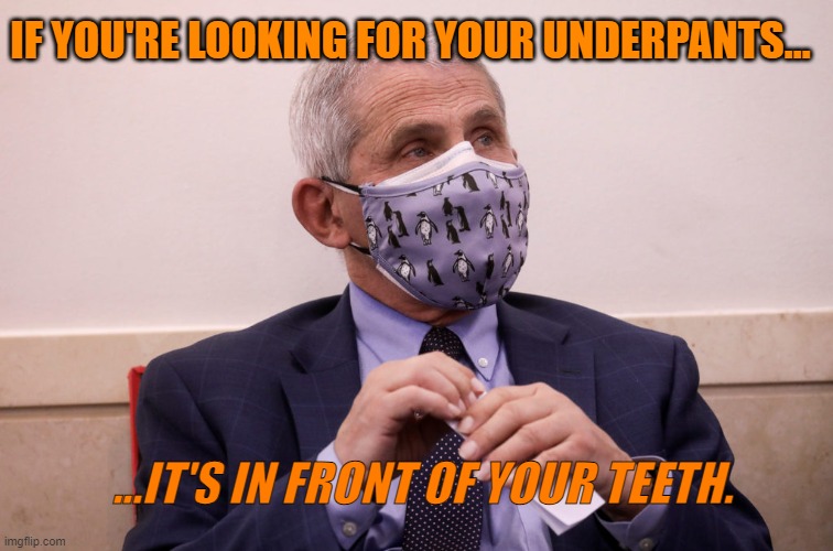 mask | IF YOU'RE LOOKING FOR YOUR UNDERPANTS... ...IT'S IN FRONT OF YOUR TEETH. | image tagged in mask | made w/ Imgflip meme maker