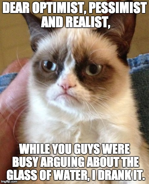 Grumpy Cat Meme | DEAR OPTIMIST, PESSIMIST AND REALIST, WHILE YOU GUYS WERE BUSY ARGUINGABOUT THE GLASS OF WATER, I DRANK IT. | image tagged in memes,grumpy cat | made w/ Imgflip meme maker