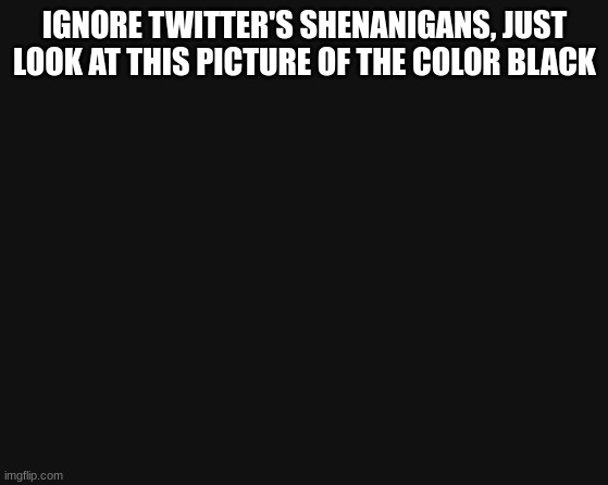 Here you go guys! | IGNORE TWITTER'S SHENANIGANS, JUST LOOK AT THIS PICTURE OF THE COLOR BLACK | image tagged in black | made w/ Imgflip meme maker