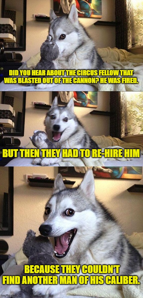 Bad Pun Dog | DID YOU HEAR ABOUT THE CIRCUS FELLOW THAT WAS BLASTED OUT OF THE CANNON? HE WAS FIRED. BUT THEN THEY HAD TO RE-HIRE HIM; BECAUSE THEY COULDN'T FIND ANOTHER MAN OF HIS CALIBER. | image tagged in memes,bad pun dog | made w/ Imgflip meme maker