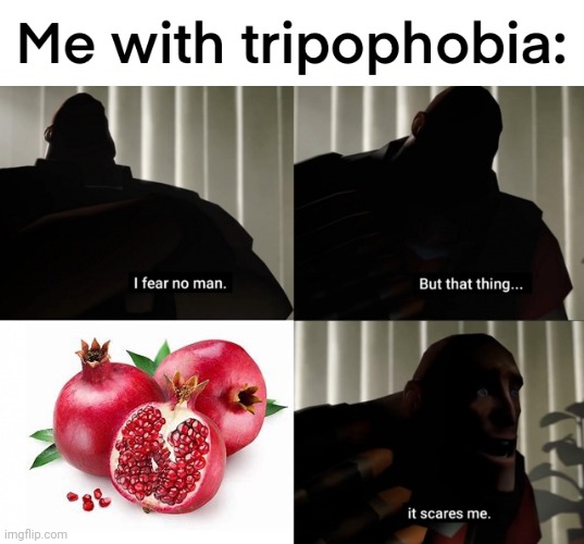 And now, another masterpiece from my brother. He likes pomegranates. He just doesn't like how they look. | image tagged in fruit | made w/ Imgflip meme maker