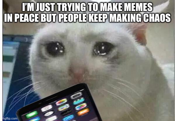Me at school | I’M JUST TRYING TO MAKE MEMES IN PEACE BUT PEOPLE KEEP MAKING CHAOS | image tagged in crying cat | made w/ Imgflip meme maker
