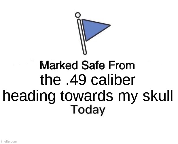 Marked Safe From Meme | the .49 caliber heading towards my skull | image tagged in memes,marked safe from | made w/ Imgflip meme maker