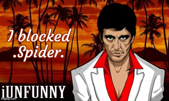iUnFunny's Scarface template | I blocked .Spider. | image tagged in iunfunny's scarface template | made w/ Imgflip meme maker