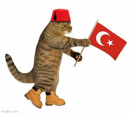 Turkish cat | made w/ Imgflip meme maker