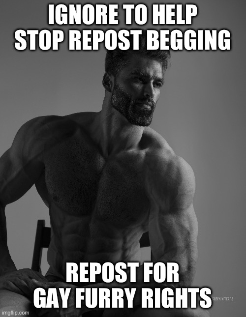 Giga Chad | IGNORE TO HELP STOP REPOST BEGGING REPOST FOR GAY FURRY RIGHTS | image tagged in giga chad | made w/ Imgflip meme maker