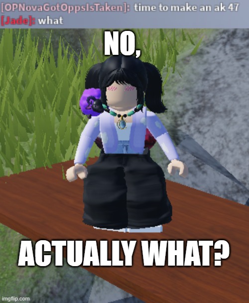 wait wha- | NO, ACTUALLY WHAT? | image tagged in funny,roblox | made w/ Imgflip meme maker