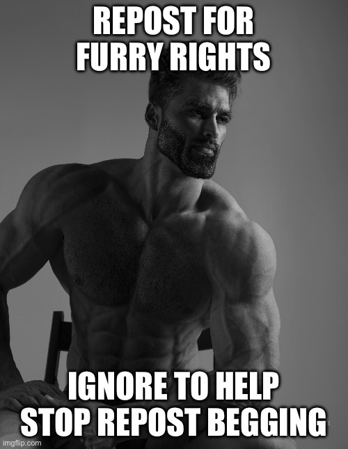 Giga Chad | REPOST FOR FURRY RIGHTS IGNORE TO HELP STOP REPOST BEGGING | image tagged in giga chad | made w/ Imgflip meme maker