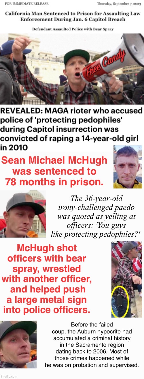 McSentenced | image tagged in assault,glass house,career criminal,domestic terrorists,safety in numbers,treason | made w/ Imgflip meme maker
