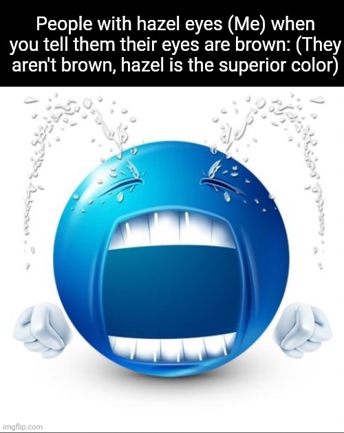 Crying Blue guy | People with hazel eyes (Me) when you tell them their eyes are brown: (They aren't brown, hazel is the superior color) | image tagged in crying blue guy | made w/ Imgflip meme maker