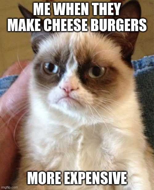 cheese buger | ME WHEN THEY MAKE CHEESE BURGERS; MORE EXPENSIVE | image tagged in memes,grumpy cat | made w/ Imgflip meme maker