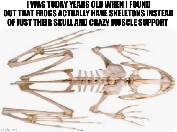 Some people may say I’m dumb for this | I WAS TODAY YEARS OLD WHEN I FOUND OUT THAT FROGS ACTUALLY HAVE SKELETONS INSTEAD OF JUST THEIR SKULL AND CRAZY MUSCLE SUPPORT | image tagged in i was not expecting that | made w/ Imgflip meme maker