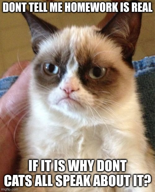 Catwork | DONT TELL ME HOMEWORK IS REAL; IF IT IS WHY DONT CATS ALL SPEAK ABOUT IT? | image tagged in memes,grumpy cat | made w/ Imgflip meme maker