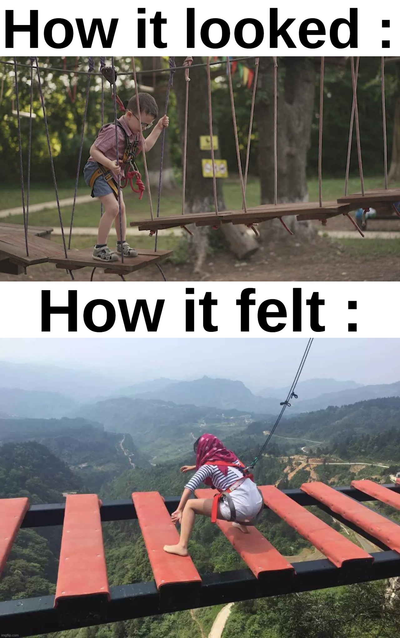 So true right ? | How it looked :; How it felt : | image tagged in memes,relatable,rope,bridge,childhood,front page plz | made w/ Imgflip meme maker