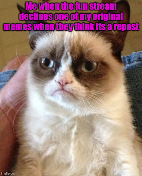 screw you fun stream mods >:( | Me when the fun stream declines one of my original memes when they think its a repost | image tagged in memes,grumpy cat | made w/ Imgflip meme maker