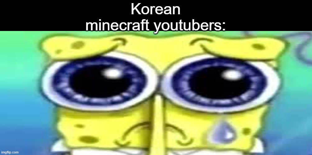 Sad Spong | Korean minecraft youtubers: | image tagged in sad spong | made w/ Imgflip meme maker