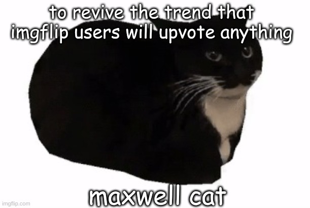 bet | to revive the trend that imgflip users will upvote anything; maxwell cat | image tagged in maxwell the cat | made w/ Imgflip meme maker