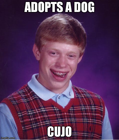 Bad Luck Brian | ADOPTS A DOG CUJO | image tagged in memes,bad luck brian | made w/ Imgflip meme maker