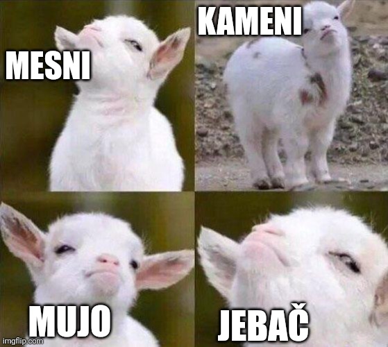 Smug Goat | KAMENI; MESNI; MUJO; JEBAČ | image tagged in smug goat | made w/ Imgflip meme maker