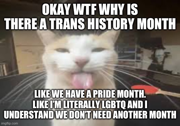 Cat | OKAY WTF WHY IS THERE A TRANS HISTORY MONTH; LIKE WE HAVE A PRIDE MONTH. LIKE I’M LITERALLY LGBTQ AND I UNDERSTAND WE DON’T NEED ANOTHER MONTH | image tagged in cat | made w/ Imgflip meme maker