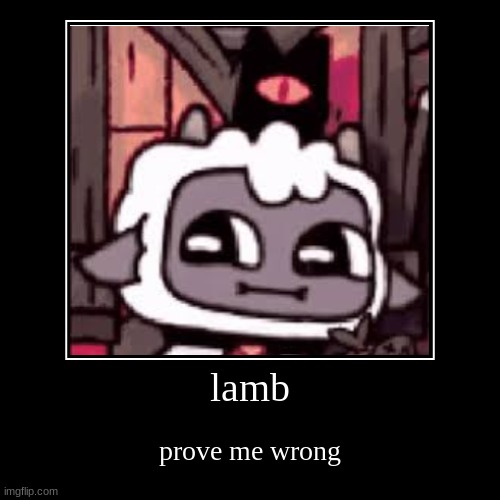 lamb | prove me wrong | image tagged in funny,demotivationals | made w/ Imgflip demotivational maker