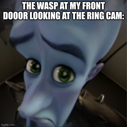Megamind peeking | THE WASP AT MY FRONT DOOOR LOOKING AT THE RING CAM: | image tagged in megamind peeking | made w/ Imgflip meme maker