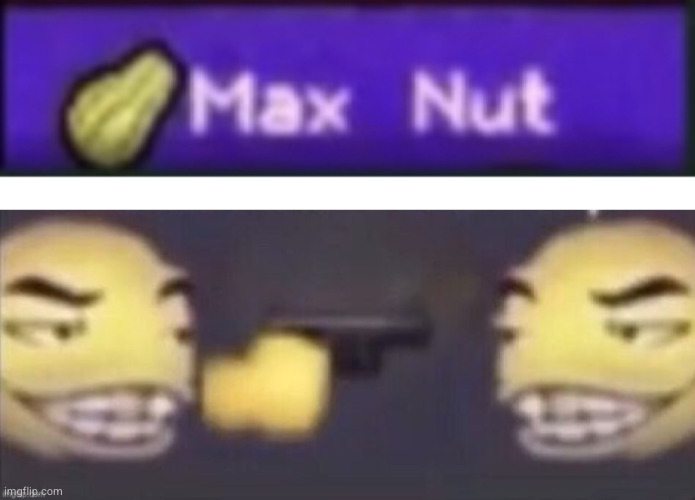 image tagged in max nut,stfu | made w/ Imgflip meme maker