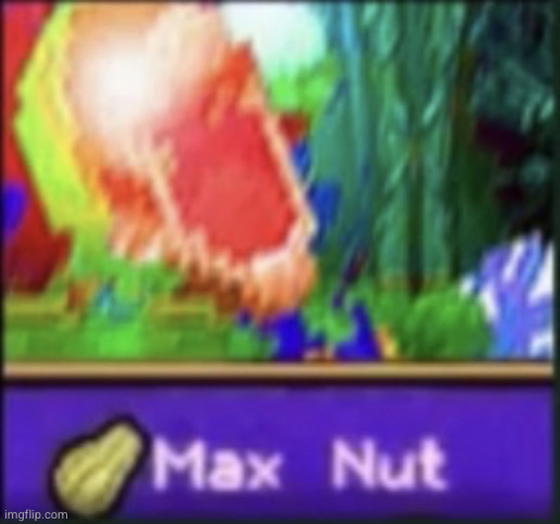 Max nut | image tagged in max nut | made w/ Imgflip meme maker
