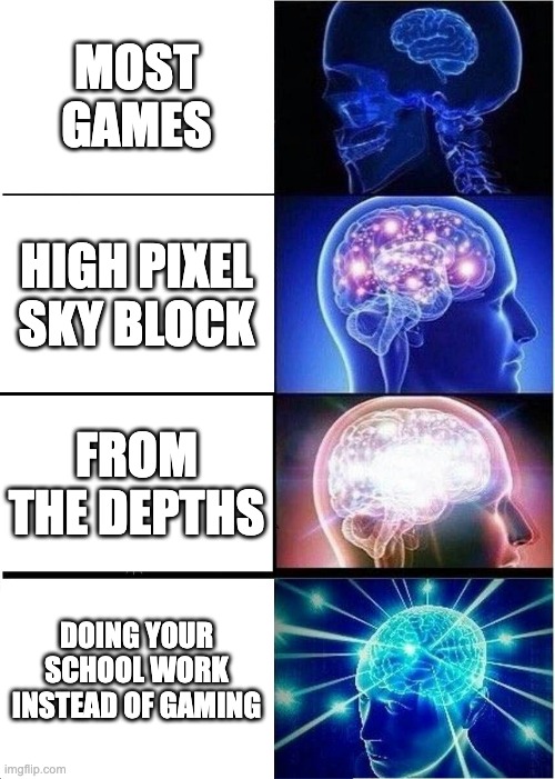 Expanding Brain Meme | MOST GAMES; HIGH PIXEL 
SKY BLOCK; FROM THE DEPTHS; DOING YOUR SCHOOL WORK INSTEAD OF GAMING | image tagged in memes,expanding brain | made w/ Imgflip meme maker