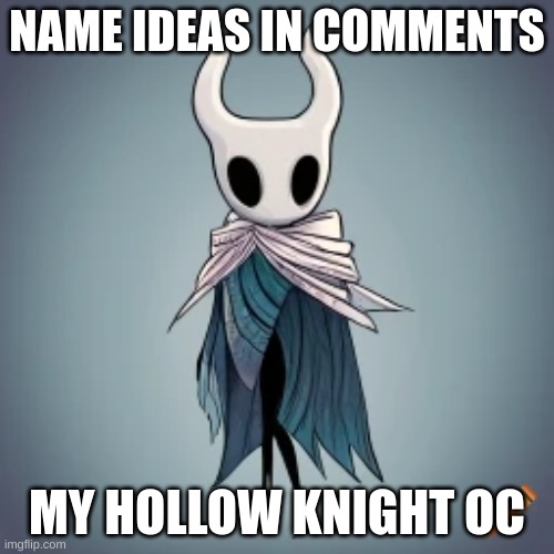 I need name ideas and i couldnt use a generator so i turned to you guys! A Gentle and Caring Soul who loves reading. Based on a  | NAME IDEAS IN COMMENTS; MY HOLLOW KNIGHT OC | image tagged in hollow knight,oc,nameideas | made w/ Imgflip meme maker