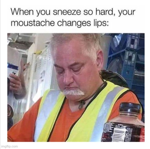 gezuntheit | image tagged in funny,sneeze,meme,mustache | made w/ Imgflip meme maker