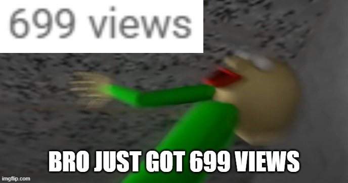 bro got 699 views | image tagged in bruh moment | made w/ Imgflip meme maker