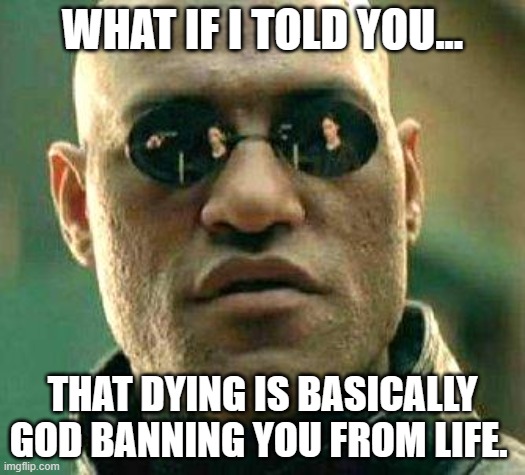 Fr tho | WHAT IF I TOLD YOU... THAT DYING IS BASICALLY GOD BANNING YOU FROM LIFE. | image tagged in what if i told you,fr tho,banned,fun,memes | made w/ Imgflip meme maker