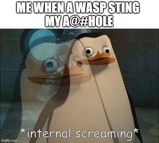 Ouchies | ME WHEN A WASP STING 
MY A@#HOLE | image tagged in private internal screaming,funny,relatable,relatable memes,dark humor,dark | made w/ Imgflip meme maker