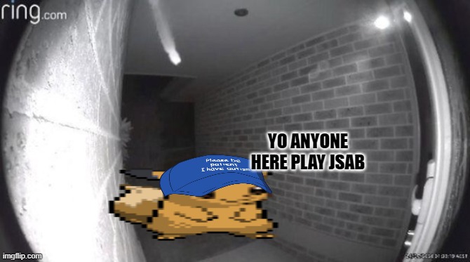 :0 | YO ANYONE HERE PLAY JSAB | image tagged in door camera | made w/ Imgflip meme maker