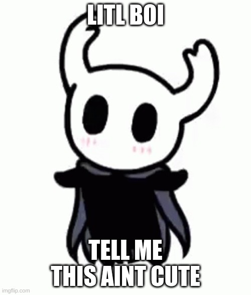 cmon say it | LITL BOI; TELL ME THIS AINT CUTE | image tagged in dancing hollow knight | made w/ Imgflip meme maker