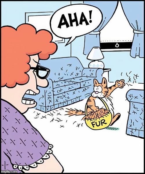 Fur Ball | image tagged in comics | made w/ Imgflip meme maker