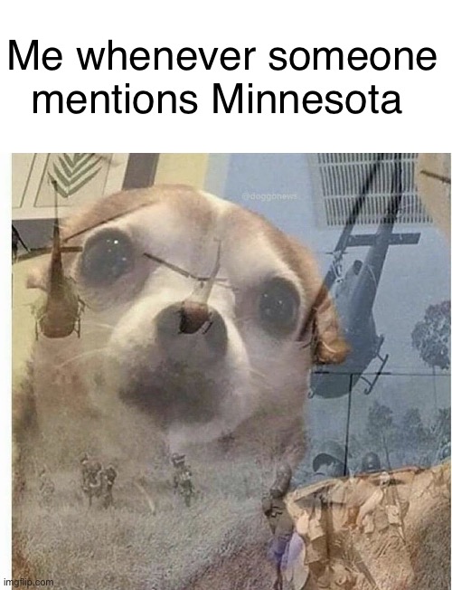 If you know you know | Me whenever someone mentions Minnesota | image tagged in ptsd chihuahua,dawn | made w/ Imgflip meme maker