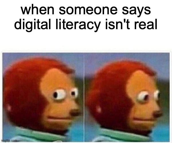 digital literacy | when someone says digital literacy isn't real | image tagged in memes,monkey puppet | made w/ Imgflip meme maker